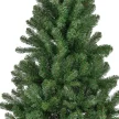 Fenyőfa Monarch pine M210cm