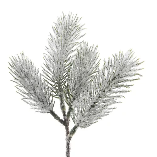 Havas fenyő ág 21cm