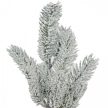 Havas fenyő ág 36cm