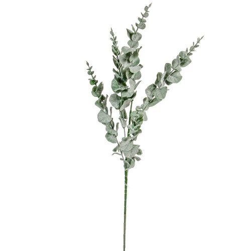 Eukaliptusz ág M87cm 64db/#