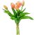 Tulipán köteg gumi 5v. narancs-pink M30cm 16db/#