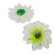Dália virágfej fehér-zöld 11cm