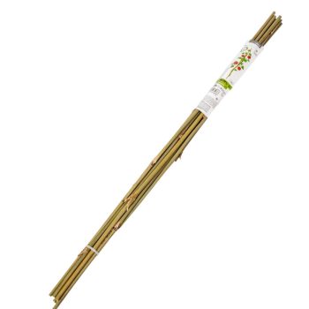 Növény karó bambusz 78cm 10db-os