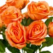 Rózsa csokor 12v. narancssárga M36cm 30db/#