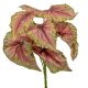 Leveles bokor 9ágú M30cm 36db/#                                  