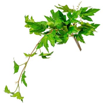 Szőlő leveles futó 40cm