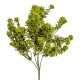 Zöld bokor 5ágú M35cm 48db/#