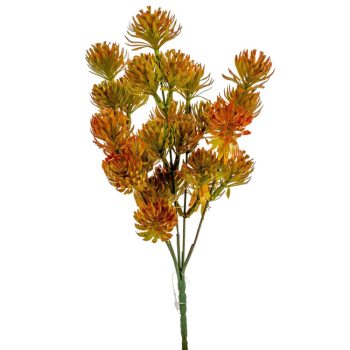 Komló bokor 5ágú M29cm 72db/#