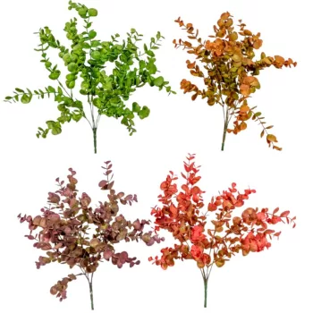 Eukaliptusz bokor 5ágú mix M40cm 48db/#