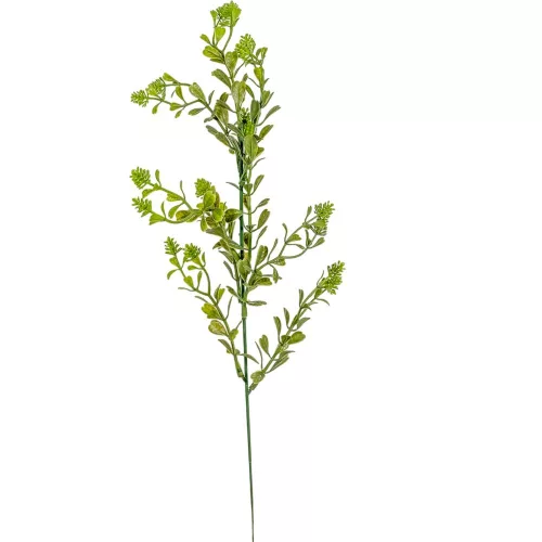 Zöld pick M50cm 6db/köteg 180db/#