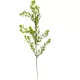 Zöld pick M50cm 6db/köteg 180db/#