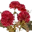 Krizantém csokor 5v. mix M32cm 24db/#