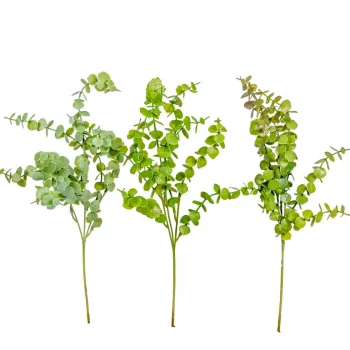 Eukaliptusz ág mix M50cm