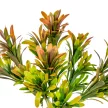 Zöld bokor 5ágú mix M34cm 60db/#