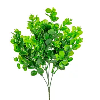Eukaliptusz bokor 5ágú M38cm 90db/#