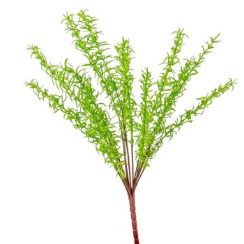 Zöld kakukfű bokor 13ágú M45cm 24db/#