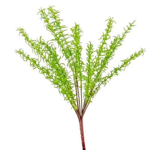 Zöld kakukfű bokor 13ágú M45cm 24db/#