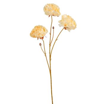 Bazsarózsa ág 3v. krém M72cm 24db/#