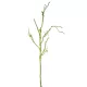 Mohás ág zöld M115cm 12db/#