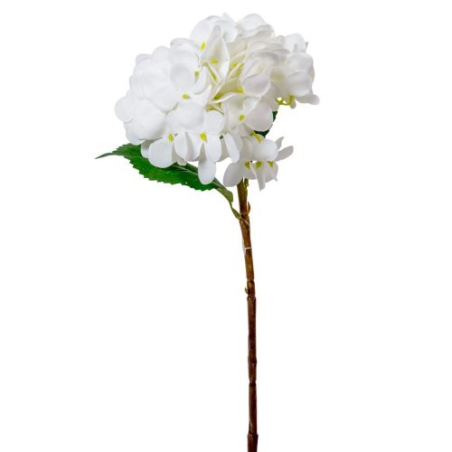 Hortenzia szálag gumi fehér M45cm 24db/#