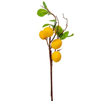 Citromfa ág M52cm 24db/#