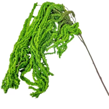 Amarantusz ág zöld 110cm 36db/#