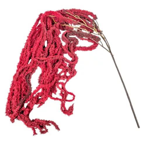 Amarantusz ág bordó 110cm 36db/#