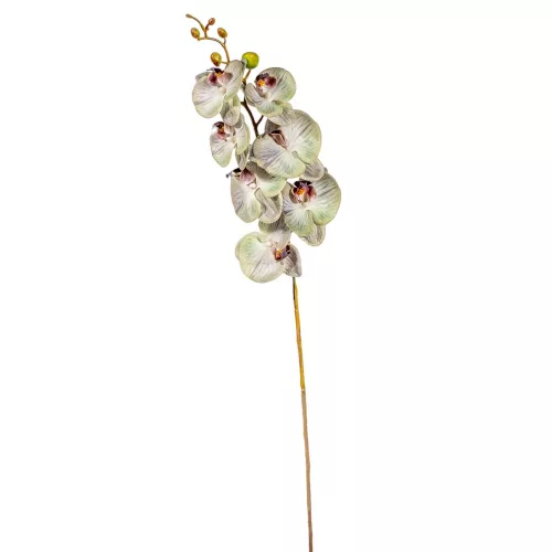 Orchidea ág  gumi M85cm 12db/#