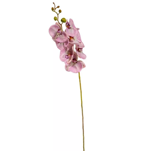 Orchidea ág gumi pink M85cm 12db/#