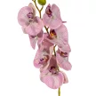 Orchidea ág gumi pink M85cm 12db/#
