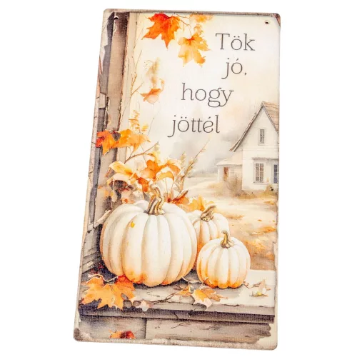 Nyomtatott fa táblaTök jó, hogy jöttél akasztós tábla 13x24,3cm