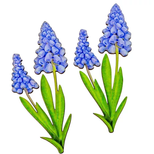 Nyomtatott dekorkarton - Muscari 13cm 2db-os