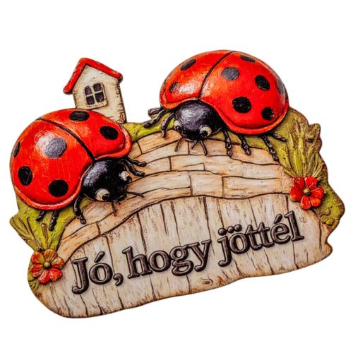 Nyomtatott dekorkarton Jó, hogy jöttél - katicás 20cm