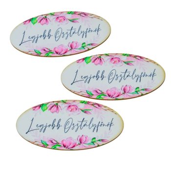   Nyomtatott dekorkarton - Legjobb osztályfőnök ovál tábla 8cm 3db-os