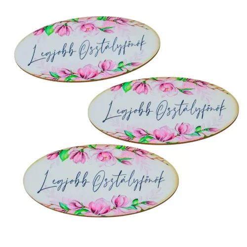 Nyomtatott dekorkarton - Legjobb osztályfőnök ovál tábla 8cm 3db-os
