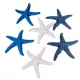 Tengeri csillag poly 7cm 6db-os