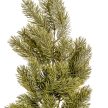 Fenyő ág 65cm