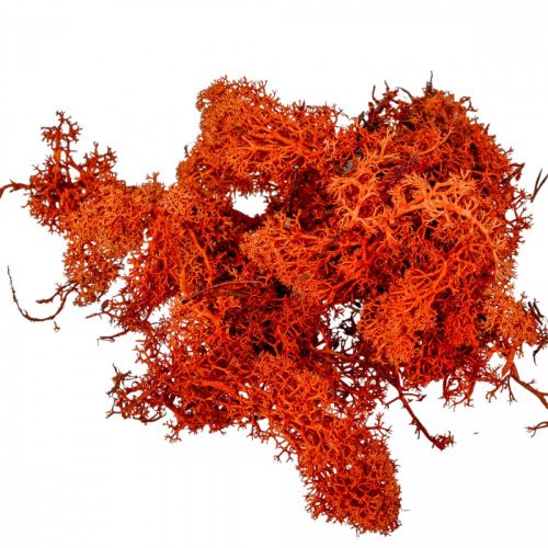 Izlandi zuzmó barna 25dkg/csom