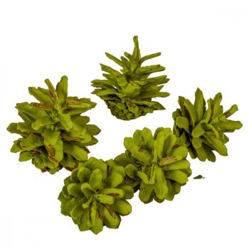 Rózsa toboz falfestékes olíva 40dkg/csomag