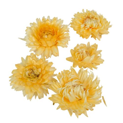 Szalmarózsa fej fehér natúr 10dkg/csom