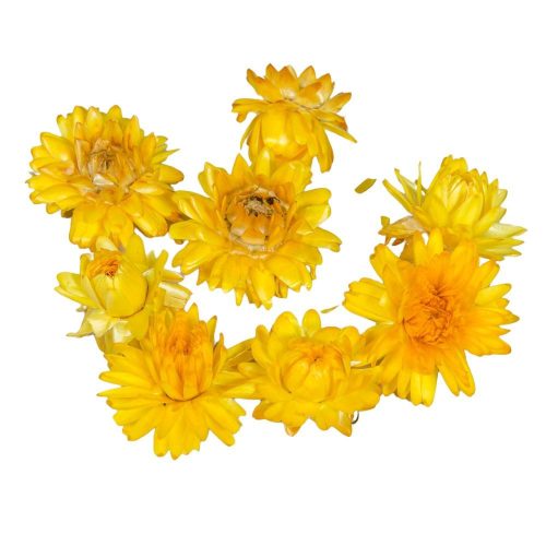 Szalmarózsa fej sárga natúr 10dkg/csom