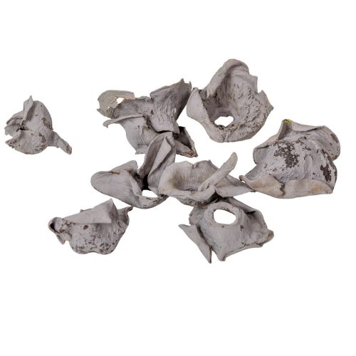 Zem falfestékes szürke 20dkg/csom