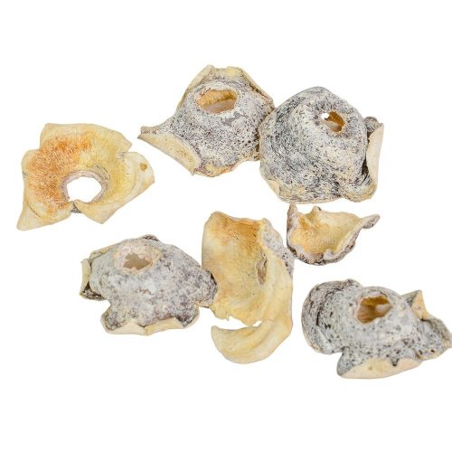 Zem zúzmarás 13dkg/csomag