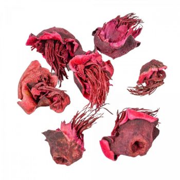 Zem padlizsán 16dkg/csom