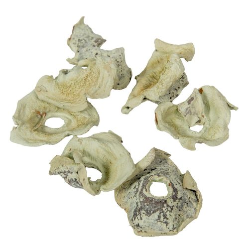 Zem falfestékes halványzöld 16dkg/csom