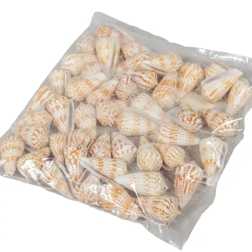 Kagyló 0,5kg Vaalaipoo-Kúpcsiga natúr