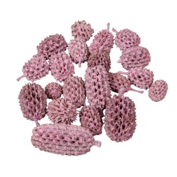 Casuarina falfestékes rózsaszín 25dkg/csom