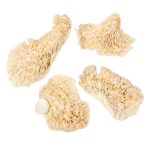 Tapló fehérített 20dkg/csom