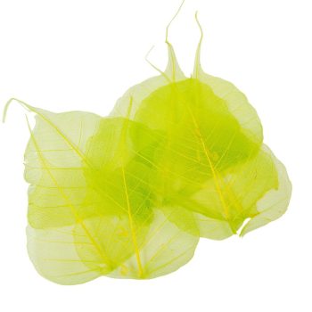 Fátyol levél világoszöld  100db-os