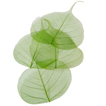 Fátyol levél sötétzöld 100db-os